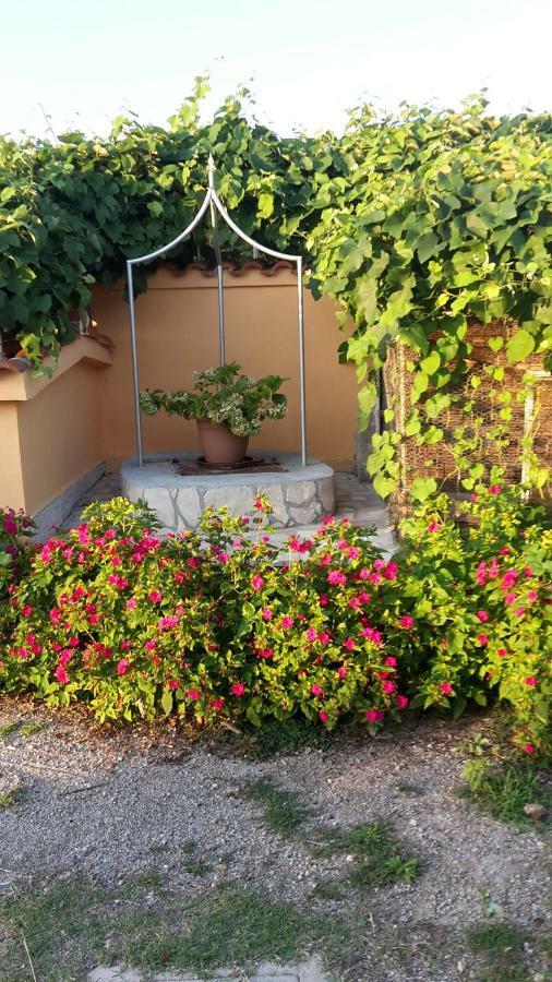 Apartman Jadranka Palit Exterior foto